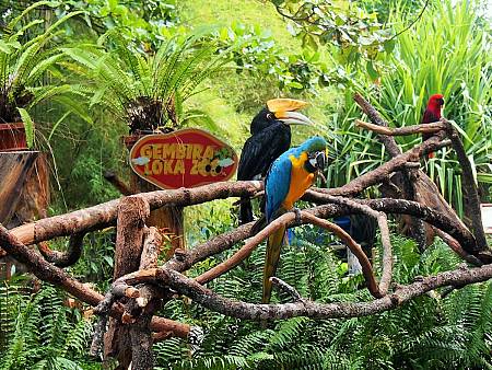 Gembira Loka Zoo, Tempat Wisata Menarik di Sleman