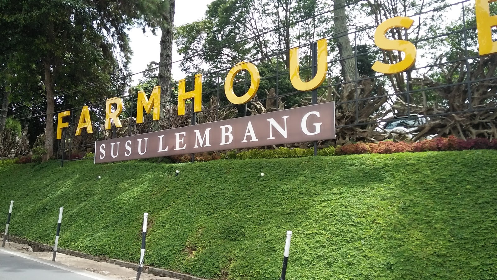 Berpetualangan di Farmhouse Susu Lembang