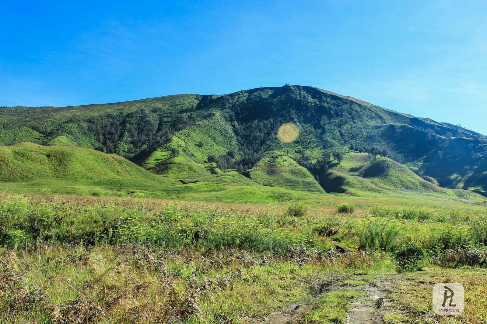 Berpetualangan di Teletubbies Hill Bromo, Probolinggo