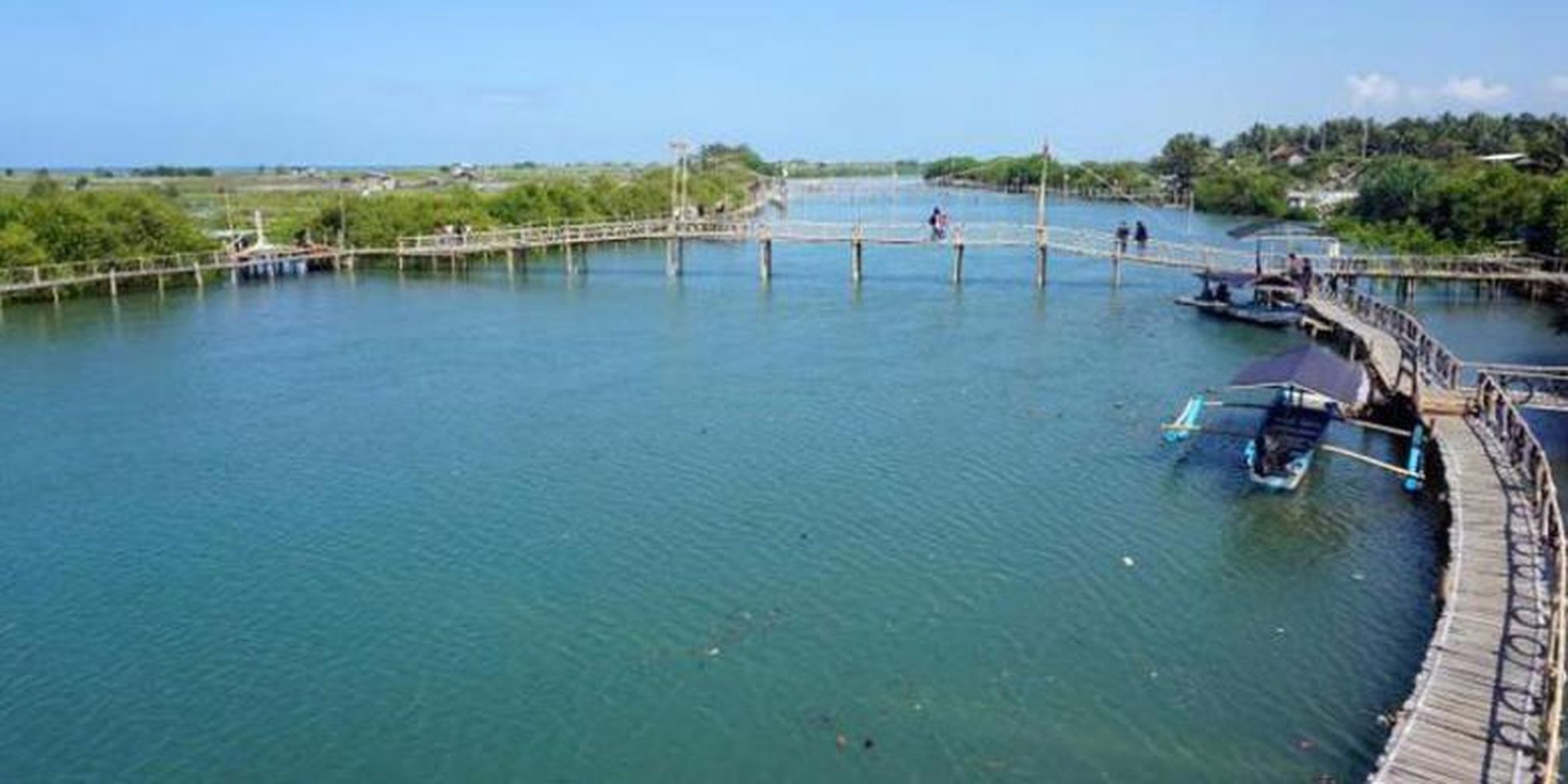 Menikmati Keindahan Wisata Alam Mangrove Jembatan Apiapi